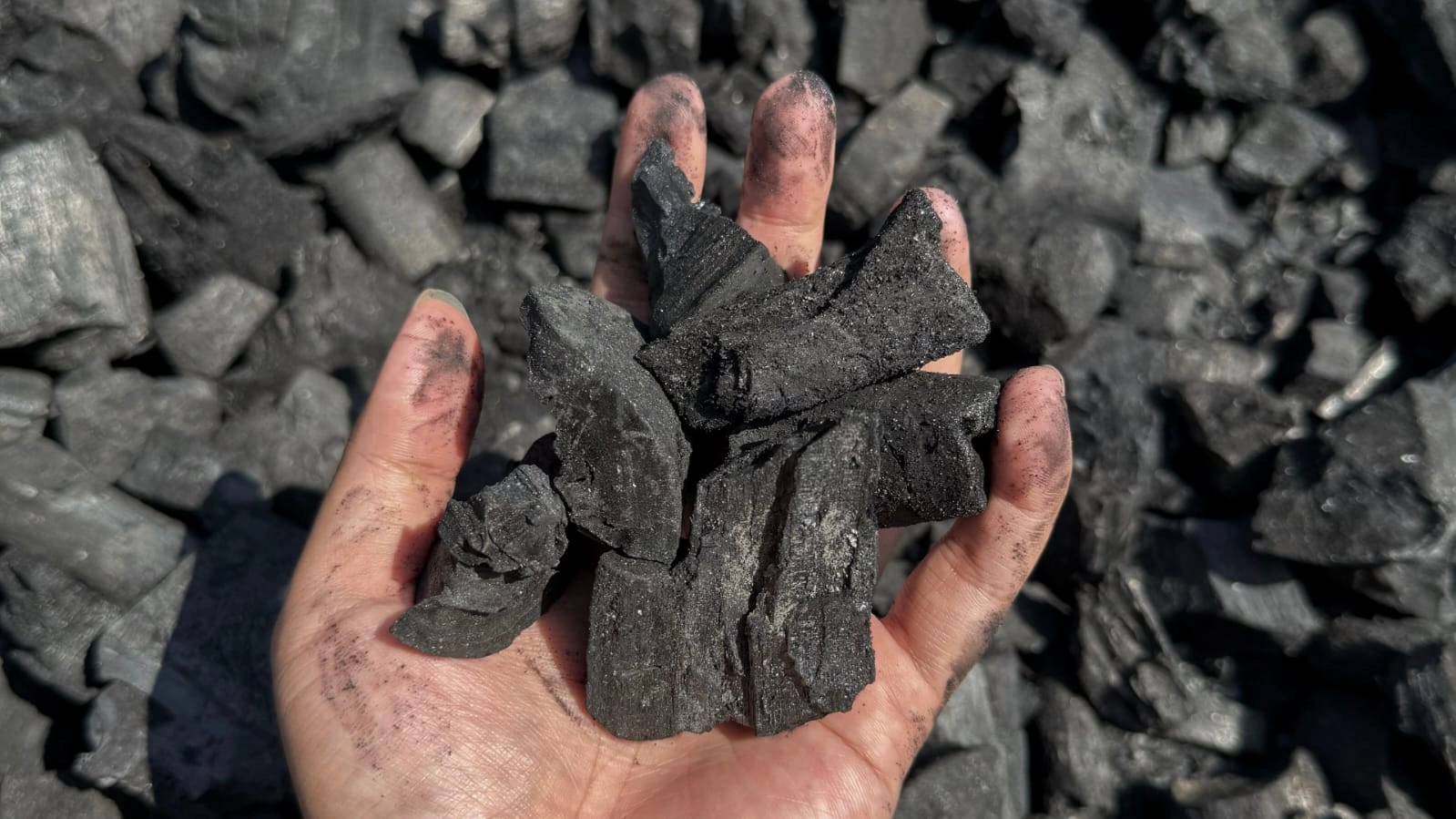 Green Fuels & Chemicals